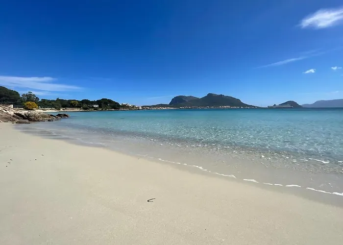 Apartman Seaside Terrace By Domusaway